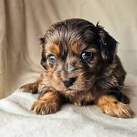 processed/7c4d4a6d-32a3-4423-9591-a142012fb736/listing/618b14b2-0868-4827-b1c3-4b49af3dd15e/0732b366-8f54-4ade-a19e-c1130da15a3a