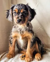 processed/7c4d4a6d-32a3-4423-9591-a142012fb736/listing/618b14b2-0868-4827-b1c3-4b49af3dd15e/436743fb-01ad-4baf-934e-2b16c3400e65