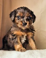 processed/7c4d4a6d-32a3-4423-9591-a142012fb736/listing/618b14b2-0868-4827-b1c3-4b49af3dd15e/6e541bc7-8bbb-4dc7-b5b0-03e970ea72e0