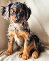 processed/7c4d4a6d-32a3-4423-9591-a142012fb736/listing/618b14b2-0868-4827-b1c3-4b49af3dd15e/8adf2e83-cee8-4e52-9838-2e2a62d8ef92