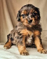 processed/7c4d4a6d-32a3-4423-9591-a142012fb736/listing/618b14b2-0868-4827-b1c3-4b49af3dd15e/92939fba-06d9-45ef-b75f-cd31dc867ae7