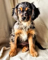 processed/7c4d4a6d-32a3-4423-9591-a142012fb736/listing/618b14b2-0868-4827-b1c3-4b49af3dd15e/d020e7f2-fe93-447a-9a3e-4dc66f02a965