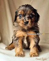 processed/7c4d4a6d-32a3-4423-9591-a142012fb736/listing/618b14b2-0868-4827-b1c3-4b49af3dd15e/ea568479-bbb7-4a97-968d-1439330b9460