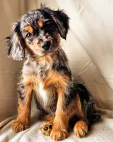 processed/7c4d4a6d-32a3-4423-9591-a142012fb736/listing/618b14b2-0868-4827-b1c3-4b49af3dd15e/ef6dc418-7e46-4186-a7c0-b45bcd813ea5