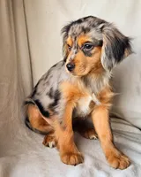 processed/7c4d4a6d-32a3-4423-9591-a142012fb736/listing/7e6df4e0-25f0-42af-acc1-8f3315135790/0f3acd97-e849-4714-812b-5bbabb340639