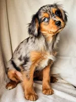 processed/7c4d4a6d-32a3-4423-9591-a142012fb736/listing/7e6df4e0-25f0-42af-acc1-8f3315135790/1974b139-b140-4842-9187-26a46a52d2c0