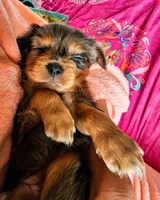 processed/7c4d4a6d-32a3-4423-9591-a142012fb736/listing/7e6df4e0-25f0-42af-acc1-8f3315135790/48f3a672-2ebe-492d-87c1-668559ea69b8