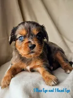 processed/7c4d4a6d-32a3-4423-9591-a142012fb736/listing/7e6df4e0-25f0-42af-acc1-8f3315135790/658b7e04-be5f-4c6a-b670-6be95ff5193b