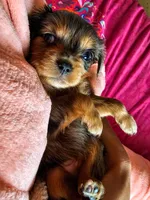 processed/7c4d4a6d-32a3-4423-9591-a142012fb736/listing/7e6df4e0-25f0-42af-acc1-8f3315135790/a92b7f0c-488b-41e5-9acc-8cbea555bac0