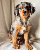 processed/7c4d4a6d-32a3-4423-9591-a142012fb736/listing/7e6df4e0-25f0-42af-acc1-8f3315135790/bf7a4ff0-e759-45b6-beaa-d3e56cfc8a15