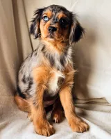 processed/7c4d4a6d-32a3-4423-9591-a142012fb736/listing/7e6df4e0-25f0-42af-acc1-8f3315135790/f7125c92-c30f-4cd4-8c9e-9d02e11de86c