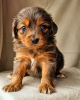 processed/7c4d4a6d-32a3-4423-9591-a142012fb736/listing/c50893bc-33e4-4c52-8386-fc4c5d452293/1dfb728b-198f-4e88-bb2a-c59d46d323af