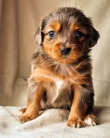 processed/7c4d4a6d-32a3-4423-9591-a142012fb736/listing/c50893bc-33e4-4c52-8386-fc4c5d452293/3cf90200-0c7c-48d1-a37c-2dd3e4eb9657