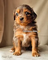 processed/7c4d4a6d-32a3-4423-9591-a142012fb736/listing/c50893bc-33e4-4c52-8386-fc4c5d452293/4908f2af-fefe-449c-a547-37bf3cf8ecab