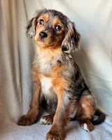 processed/7c4d4a6d-32a3-4423-9591-a142012fb736/listing/c50893bc-33e4-4c52-8386-fc4c5d452293/583de32a-6a52-4c54-889e-24520445ee53