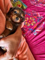 processed/7c4d4a6d-32a3-4423-9591-a142012fb736/listing/c50893bc-33e4-4c52-8386-fc4c5d452293/6632a60a-ab4f-4e1e-853e-5cee0a014c31