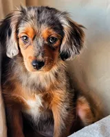 processed/7c4d4a6d-32a3-4423-9591-a142012fb736/listing/c50893bc-33e4-4c52-8386-fc4c5d452293/74f9fdb2-3a56-49ed-be25-699eec6c38b3