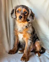 processed/7c4d4a6d-32a3-4423-9591-a142012fb736/listing/c50893bc-33e4-4c52-8386-fc4c5d452293/c346d8be-d831-4876-8ad8-7019b7f5b1c9