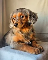 processed/7c4d4a6d-32a3-4423-9591-a142012fb736/listing/c50893bc-33e4-4c52-8386-fc4c5d452293/df8494eb-324a-4dce-82a7-927f3bc4742b