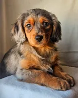 processed/7c4d4a6d-32a3-4423-9591-a142012fb736/listing/c50893bc-33e4-4c52-8386-fc4c5d452293/f877aedf-170b-45ef-aa6f-c98483c1a505