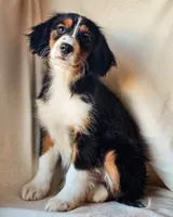 processed/7c4d4a6d-32a3-4423-9591-a142012fb736/listing/eeea61b6-b690-400c-b5da-c61e163cd683/2c036ef1-ecda-4ee4-bfca-fa3592a3d1b2