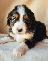 processed/7c4d4a6d-32a3-4423-9591-a142012fb736/listing/eeea61b6-b690-400c-b5da-c61e163cd683/75a1a394-8579-4bf1-a4c5-8405531a816c