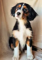 processed/7c4d4a6d-32a3-4423-9591-a142012fb736/listing/eeea61b6-b690-400c-b5da-c61e163cd683/76179d78-f6ef-4dbd-9149-91ea9553e518