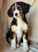 processed/7c4d4a6d-32a3-4423-9591-a142012fb736/listing/eeea61b6-b690-400c-b5da-c61e163cd683/a6464582-80bd-470e-9d12-105ed78f33b6