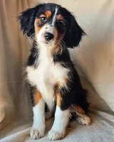 processed/7c4d4a6d-32a3-4423-9591-a142012fb736/listing/eeea61b6-b690-400c-b5da-c61e163cd683/d4624049-cd96-44e6-9602-56b8615f299b