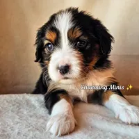 processed/7c4d4a6d-32a3-4423-9591-a142012fb736/listing/eeea61b6-b690-400c-b5da-c61e163cd683/da42e257-6029-4d08-b1c6-46ec99bd4254