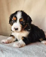 processed/7c4d4a6d-32a3-4423-9591-a142012fb736/listing/eeea61b6-b690-400c-b5da-c61e163cd683/e136143a-c2d0-443d-bc4d-31b273b3e855