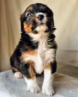 processed/7c4d4a6d-32a3-4423-9591-a142012fb736/listing/fe000b78-b6b9-4669-9750-2dd30535c9ed/351cbb8e-4814-4bf0-83c7-deeb9d54153e