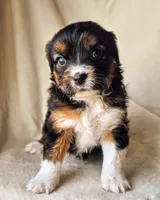 processed/7c4d4a6d-32a3-4423-9591-a142012fb736/listing/fe000b78-b6b9-4669-9750-2dd30535c9ed/f8066202-d0f9-4484-a83c-a697986e263a