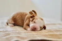 processed/7c661233-d637-46a8-bc28-623e7d46e4a7/listing/99f64715-6cd3-4149-8bee-8e7ee58f2684/0eec4afe-b6d9-4657-a507-e836995328b0