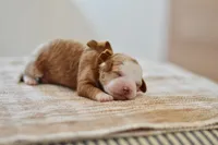 processed/7c661233-d637-46a8-bc28-623e7d46e4a7/listing/99f64715-6cd3-4149-8bee-8e7ee58f2684/5d2ff627-0532-4eae-9cdf-8d4de13ba3d0