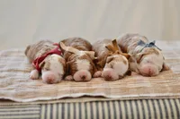 processed/7c661233-d637-46a8-bc28-623e7d46e4a7/listing/99f64715-6cd3-4149-8bee-8e7ee58f2684/f3a110a2-1521-4ce4-a4bf-a19014cb0db2