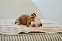 processed/7c661233-d637-46a8-bc28-623e7d46e4a7/listing/99f64715-6cd3-4149-8bee-8e7ee58f2684/f78b1ee8-a62d-41c7-af8c-e830c2301044