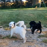 processed/7c6888b4-6bad-475f-8ba7-c5273f38250c/facility/1d658b36-9ad1-47ae-a0f6-ec3ff86e9d72