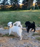 processed/7c6888b4-6bad-475f-8ba7-c5273f38250c/facility/1d658b36-9ad1-47ae-a0f6-ec3ff86e9d72