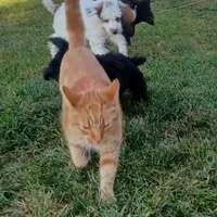 processed/7c6888b4-6bad-475f-8ba7-c5273f38250c/facility/22272fa4-80d8-42ae-b682-f13300c2e6c4