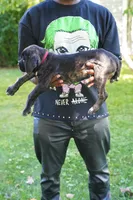 Harley Quinn, a female Cane Corso for sale in Dover Plains, NY – 2 of 10