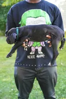 Thanos, a male Cane Corso for sale in Dover Plains, NY – 2 of 10