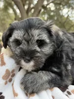 processed/7c704005-07e9-451d-9bdb-2ab21c5f4296/listing/bd49984f-c240-4832-a3a7-a46a14a8337b/13854127-08a0-4d07-b0f8-d1be77898696