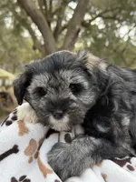 processed/7c704005-07e9-451d-9bdb-2ab21c5f4296/listing/bd49984f-c240-4832-a3a7-a46a14a8337b/652133a2-4bb4-4a86-b6af-63620cfafb66