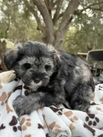 processed/7c704005-07e9-451d-9bdb-2ab21c5f4296/listing/bd49984f-c240-4832-a3a7-a46a14a8337b/e247bc81-596b-4b69-9fe0-2ed2685a9ac0