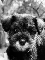 processed/7c704005-07e9-451d-9bdb-2ab21c5f4296/listing/ee7e4db6-d1cf-4e7a-abd4-f529fc2db390/b71515a2-b9fa-495d-aa08-61996a61b3e0