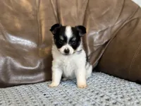 processed/7c74d003-f585-40a5-926c-7dcb83651fdc/listing/1c3be57e-7ac3-468b-ac55-a8445b34a5fc/12788f60-cd52-43a4-930f-2ca1e081b644