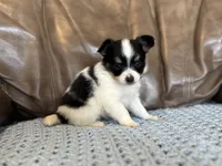 processed/7c74d003-f585-40a5-926c-7dcb83651fdc/listing/1c3be57e-7ac3-468b-ac55-a8445b34a5fc/27d3a59a-43d5-4f75-84be-5017049ae494