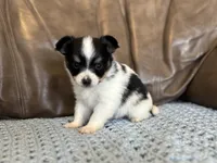 processed/7c74d003-f585-40a5-926c-7dcb83651fdc/listing/1c3be57e-7ac3-468b-ac55-a8445b34a5fc/c2cb9700-7c08-4dcd-a66b-900f6a91ba67