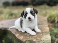 processed/7c74d003-f585-40a5-926c-7dcb83651fdc/listing/1eea4dcb-cb84-4f3a-b2cc-732a13b99e06/42093416-85fd-4c82-bd0c-f7685a9923af